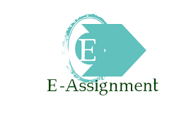 E Assignments